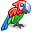 :parrot